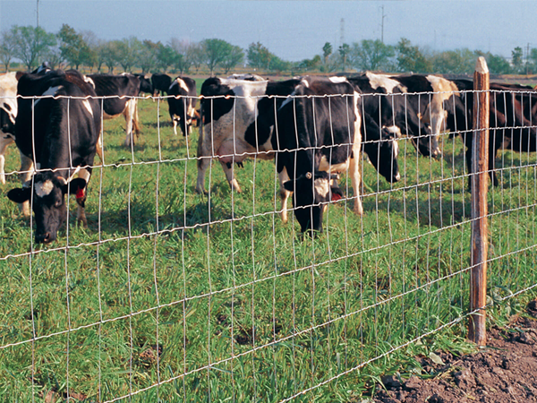 Do you know how important wire mesh is to a ranch?